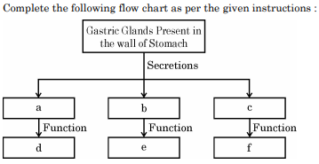 Complete the following flow chart as per the given instructions